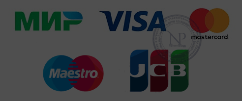 VISA MasterCard Maestro Mir JCB AndNowPleasure